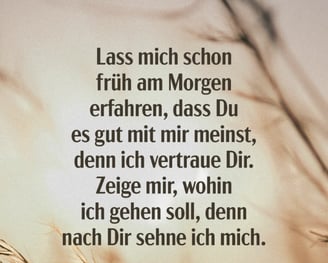 Früh am Morgen erkennen, dass Du, Gott, es gut mit mir meinst