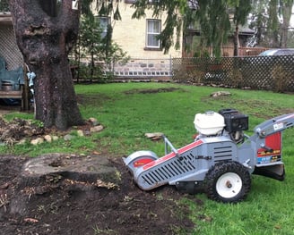 Residential  Stump Grinding Halifax