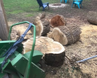 How stump grinding works