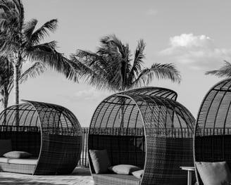 black and white shot of palm trees and wicker cabanas at wildblue resort in southwest florida