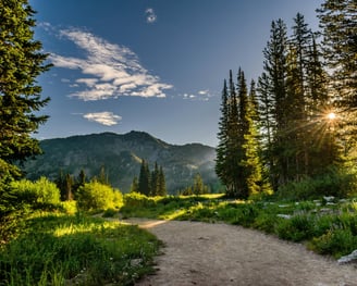 a dirt path leading to a mountain with trees and mountains in the background