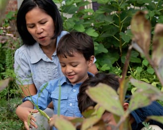 Nicky and her sons harvesting from their front yard garden. 