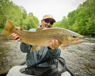 28.5" South Holston River Brown Trout