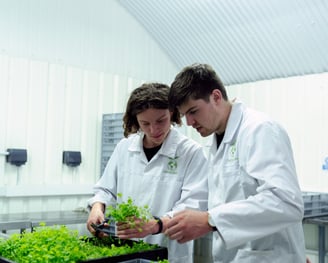 Scientists in the laboratory examining plants