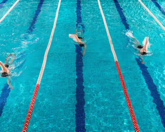 gruppo di persona che nuota in una piscina olimpionica