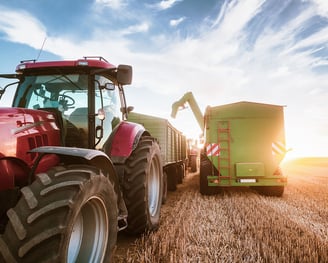 Kaizen lean agriculture maroc