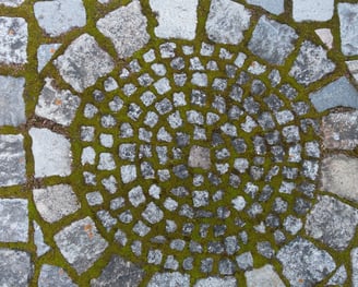 mandala avec mousse sur sol en pierre, fondation, socle, terre