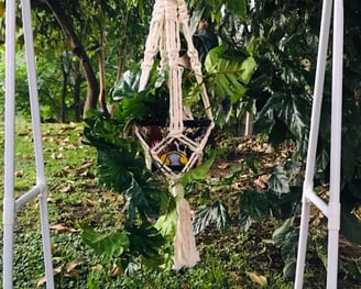 Macramé Lover's & +