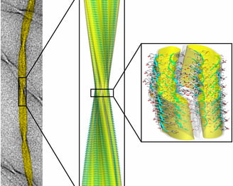 Molecular structure of an amyloid-type fibre