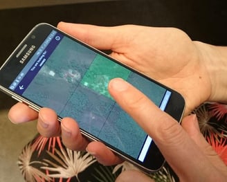 Person using MapSwipe on smart phone which just involves tapping an image for a goal such as a road or building present.