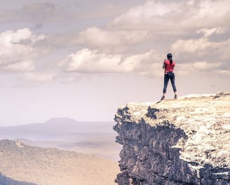 a person standing confidently at the top of a rock and overlooking a vast landscape - Holistic Health Company