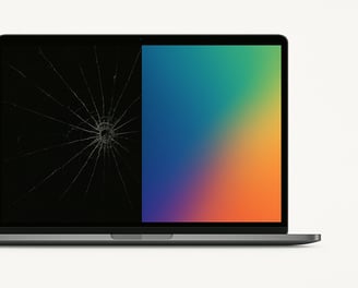 Laptop display showing cracked screen before fix