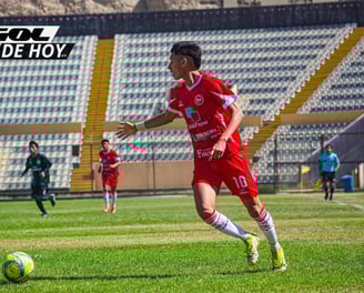 Victor ricardo grifa