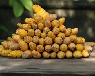 High-quality Indian turmeric finger  exports