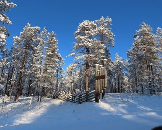 Einfahrt Nationalpark