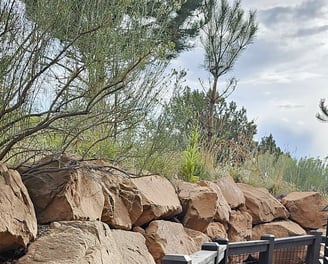 a fenced in area with a fence and a fence