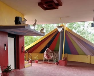 kids area