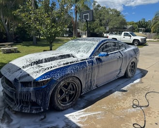 Mustang Covered In Soap After Being Washed