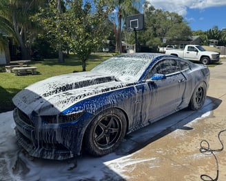 Mustang Covered In Soap After Being Washed