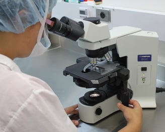 Bolsa de Trabajo ISSSTE Técnico Histopatólogo Convocatoria Técnico Histopatólogo ISSSTE