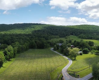 Wine Country, Northern Virginia, USA