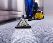 carpet cleaning fort lauderdale service