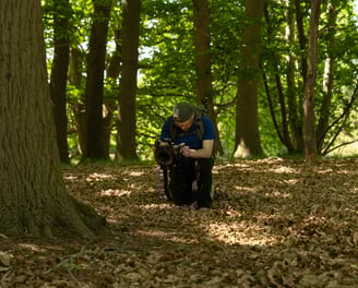 photogrammetry equipment being used to scan a tree in a forest