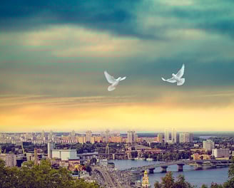 two white doves flying over a city