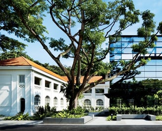 a large tree in front of a building