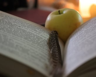 Lecture d'Automne