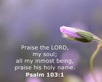 Praise the LORD my soul