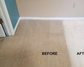 rug cleaning fort lauderdale