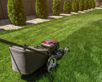 Lawn cut to perfection in Mississauga backyard -- Smiling Lawn