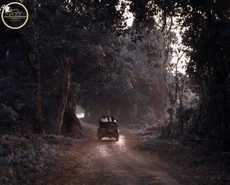 jeep in ranthambore national park