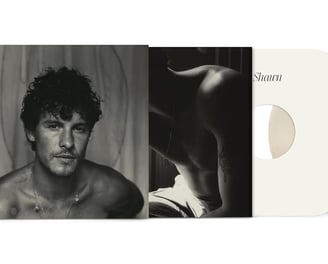 shawn mendes' shawn album vinyl cover