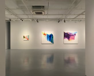 galeri nev