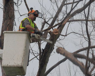 a man in a safety vest is working on a tree