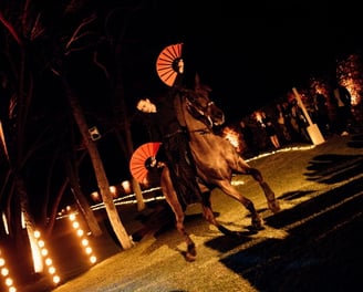 Flamenco and live horse show featured at a private celebration at Villa El Rincon in Marbella.