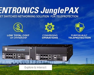 Teleprotection MPLS-TP Communication Platform