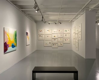 galeri nev
