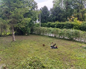 Garten-Rodung nachher