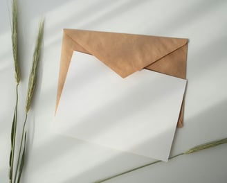 Monthly newsletter