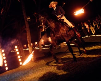 Flamenco and live horse show featured at a private celebration at Villa El Rincon in Marbella.