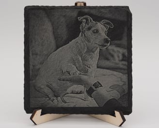 Hund auf einem Sofa, gibt Fötchen, Bild ist auf einer Schieferplatte, monochrome Farbe
