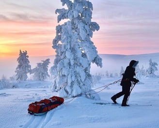 Couché de soleil avec des couleurs rose orange sur le parc uhro kekkonen ski pulka