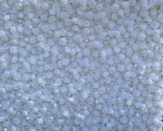 White 3d flower wall backdrop