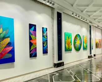 maji art gallery