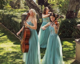 Music performance at private event at Finca Santa Katerina