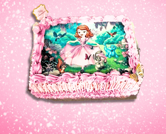 pacote de festa bolos de sonho a cake with a princess in the middle of it