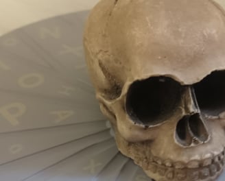 a skull head with a coin on a table